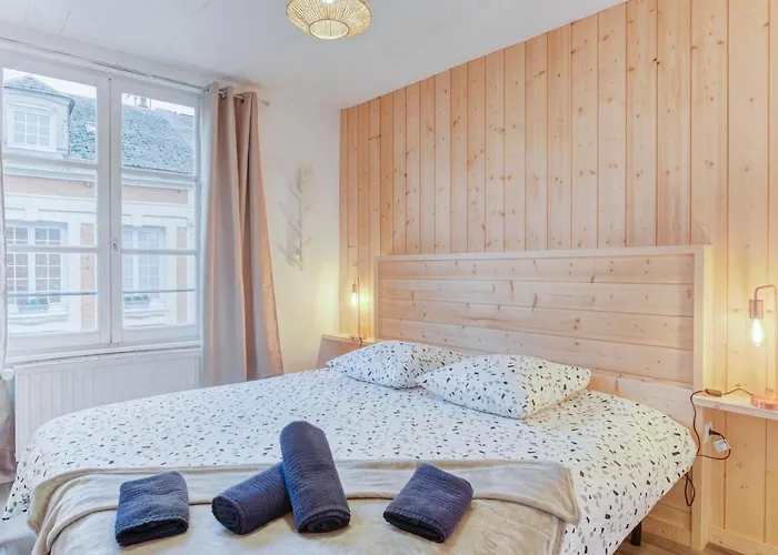 La Cordonnerie - Maison Typique - Plein Centre Apartment *